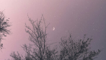 Depois dos 30, Quarenta